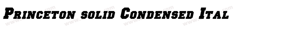 Princeton solid Condensed Italic字体转换